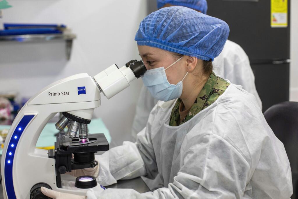 Zealand Pharma aktie