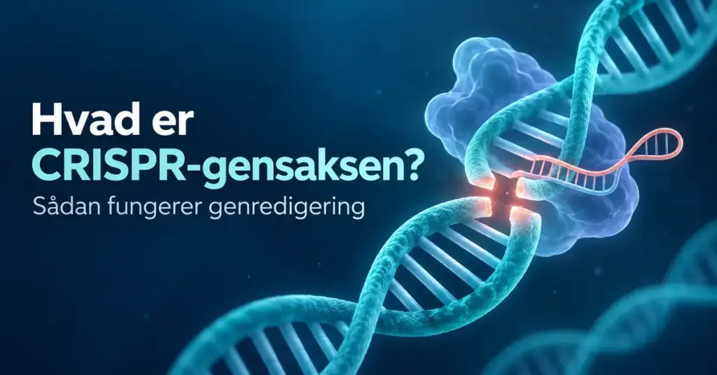 Illustration af en DNA-dobbeltspiral med et markeret klippested, Cas9 og guide-RNA samt teksten »Hvad er CRISPR-gensaksen? Sådan fungerer genredigering«.