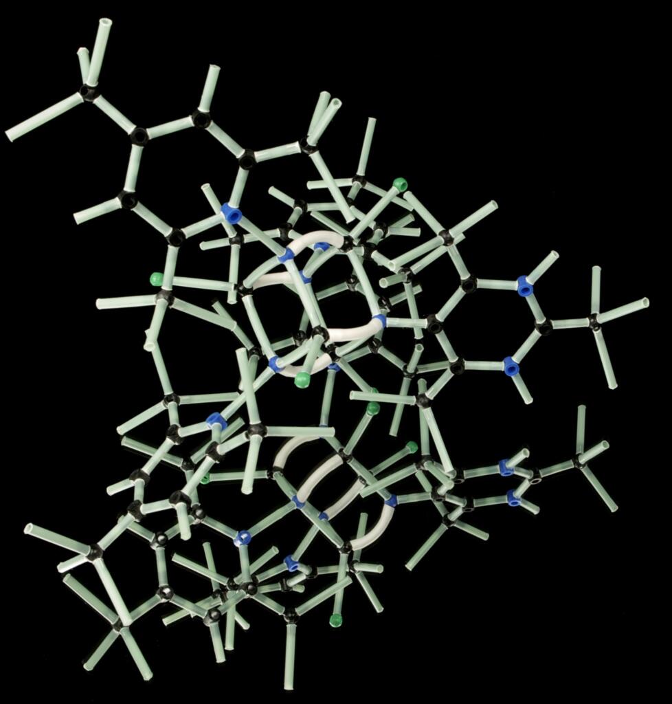Argenx
